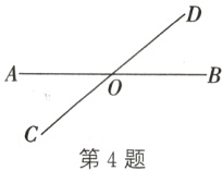 第4题