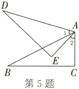 第5题