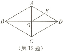 第12题
