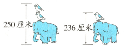 236厘米