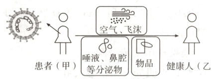 唾液肠物品患者甲健康人乙