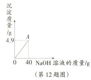 040NaOH溶液的质量/g第12题图