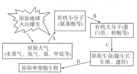 水蒸气氢气氨甲烷等原始生命能生长生殖遗传原始单细胞生物