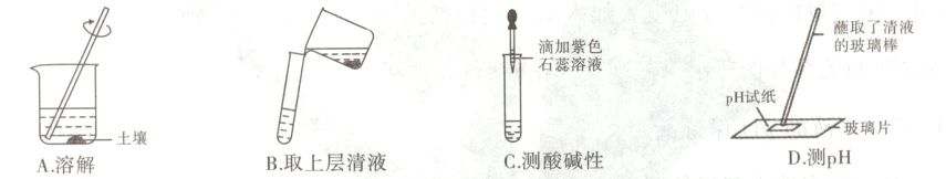 pH试纸玻璃片土壤D测pHC测酸碱性B取上层清液A溶解