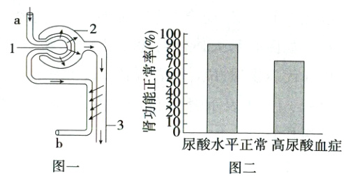 尿酸水平正常高尿酸血症图一图二