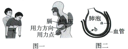 血管用力点图二图一