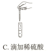 C滴加稀硫酸