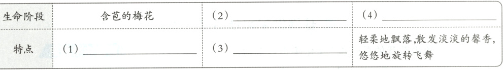 轻柔地飘落 散发淡淡的馨香 3特点1悠悠地旋转飞舞