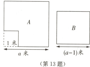 a1米a米第13题