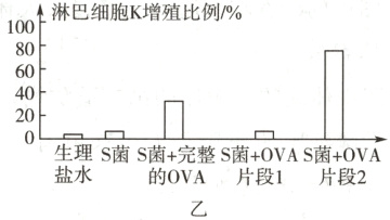 生理S菌S菌+完整S菌+OVAS菌+OVA盐水的OVA片段1片段2