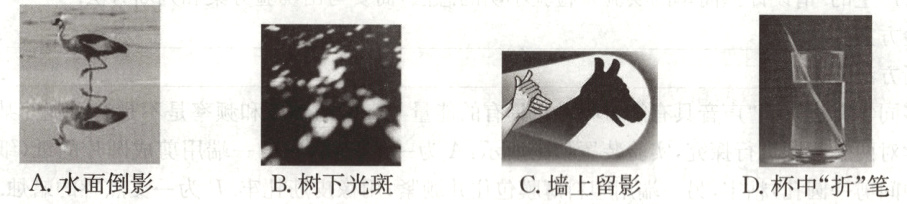 TB树下光斑A水面倒影C墙上留影D杯中折笔