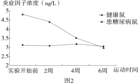 2实验开始前2周运动时间4周6周图2