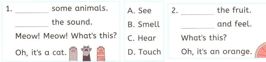 OhitsanDTouchOhitsacatorange