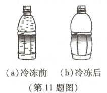 a冷冻前b冷冻后第11题图