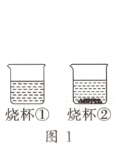 烧杯①烧杯②图1