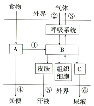 外界粪便汗液尿液