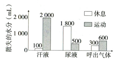 60000300100散0尿液呼出气体汗液