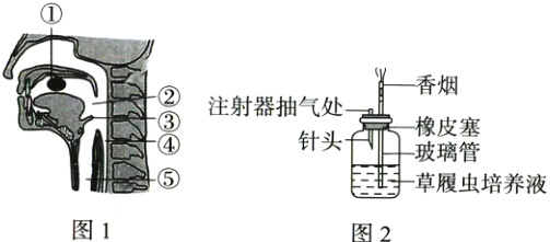 湮草履虫培养液图1图2
