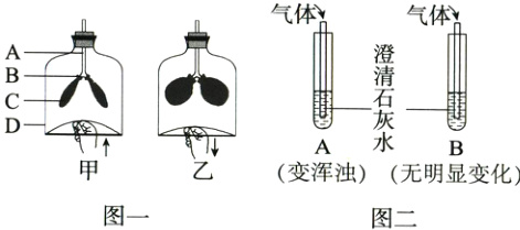 变浑浊无明显变化图一图二