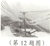 第12题图
