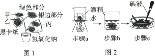 步骤b步骤c步骤a化钠图2图1