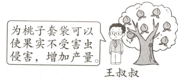 侵害增加产量王叔叔