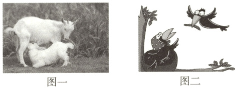 图二图一