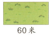 60米