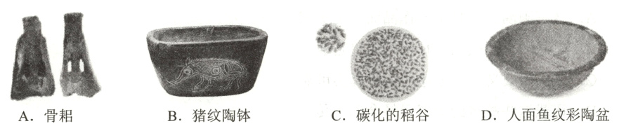 C碳化的稻谷D人面鱼纹彩陶盆A骨耜B猪纹陶钵
