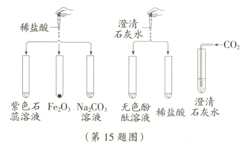 NaC3酞溶液稀盐酸石灰水蕊溶液第15题图