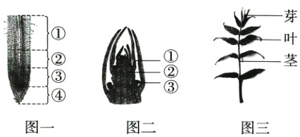 二④图一图二图三