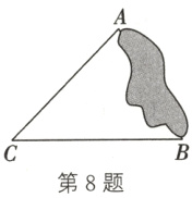 第8题