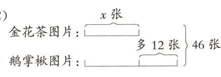 46张多12张鹅掌楸图片