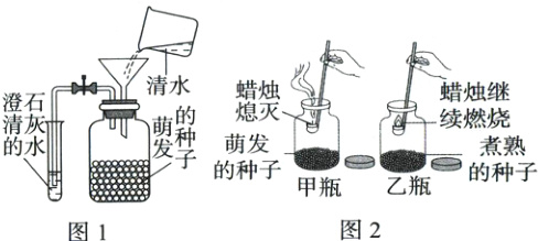 甲瓶乙瓶的种子的种子图2图1