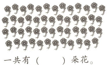 朵花一共有