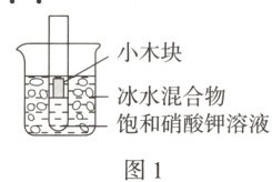 饱和硝酸钾溶液图1