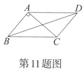 第11题图