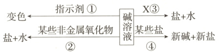 变色← 指示剂① 碱溶液 盐+水← 某些非金属氧化物② X③→ 盐+水 某些盐④→ 新碱+新盐