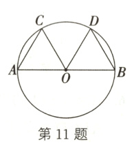 第11题