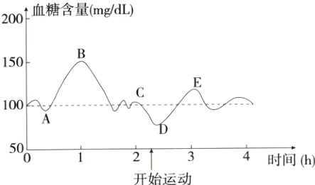50034时间h开始运动