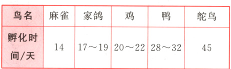 孵化时间天1417192022283245