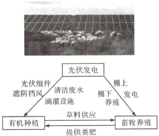 滴灌设施养殖草料供应畜牧养殖有机种植提供粪肥