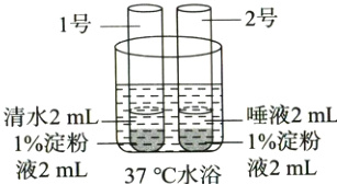 唾液2mL清水2mL1%2遮粉1%淀粉液2mL37°C水浴