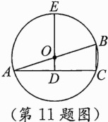 第11题图