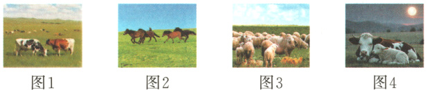 图2图4图1图3