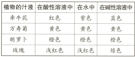胡萝卜橙色橙色橙色浅红色浅红色玫瑰绿色