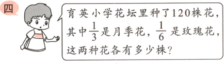 frac16frac13是玫瑰花是月季花其中这两种花各有多少株