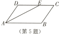 第5题
