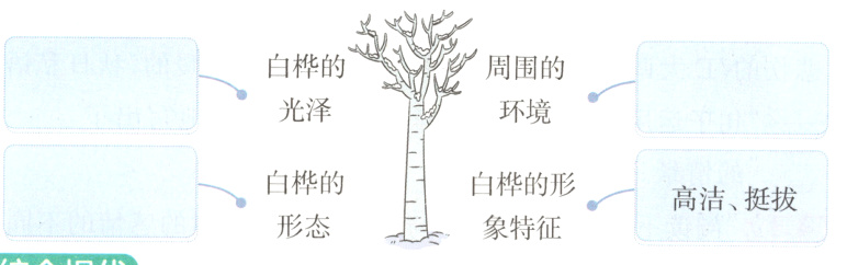 高洁挺拔形态象特征