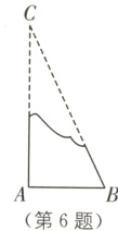 第6题